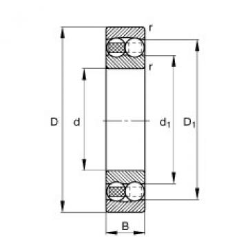 Bantalan 1217-TVH FAG