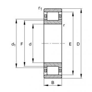 Bantalan N248-E-TB-M1 FAG