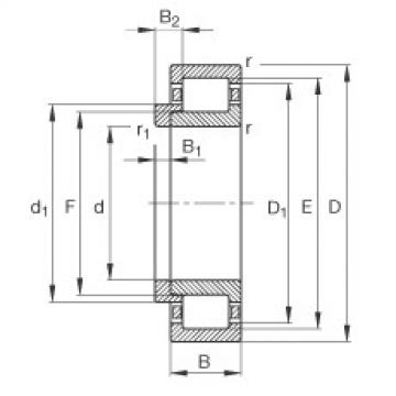 Bantalan NJ422-M1 + HJ422 FAG