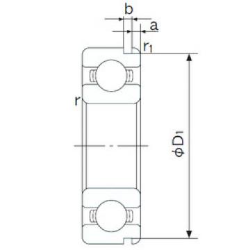 Bantalan 6007N NACHI