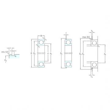 Bantalan 6009N SKF