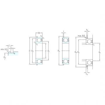 Bantalan 6307-2ZNR SKF