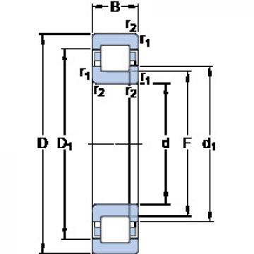 Bantalan NUP 3988 ECM SKF