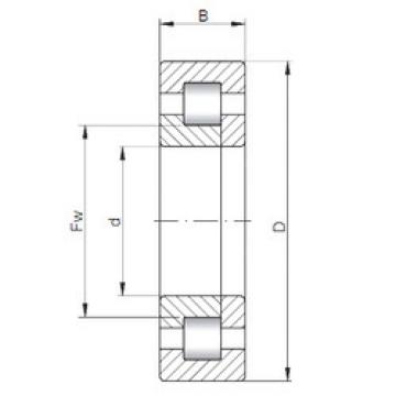 Bantalan NUP1030 CX