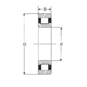 Bantalan LRJ 2.1/2 SIGMA