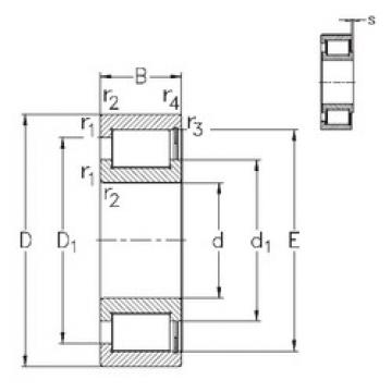 Bantalan NCF2911-V NKE