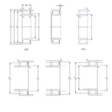 Bantalan NCF1896V SKF