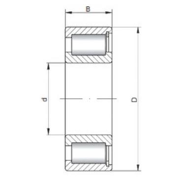 Bantalan NCF2208 V CX