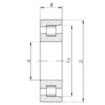 Bantalan NF3238 ISO