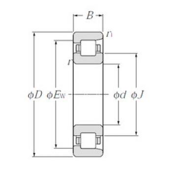 Bantalan NF216 NTN