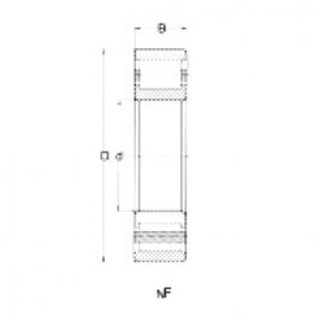 Bantalan NF217 CRAFT