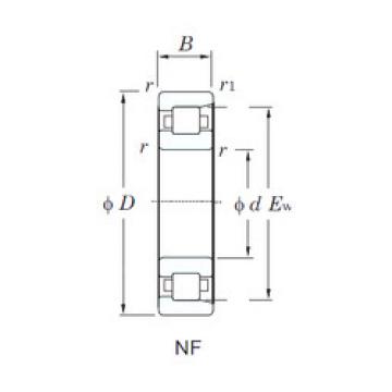 Bantalan NF218 KOYO