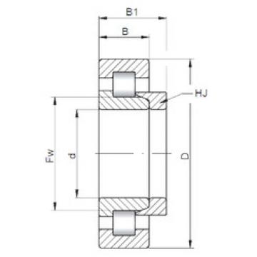 Bantalan NH2217 ISO