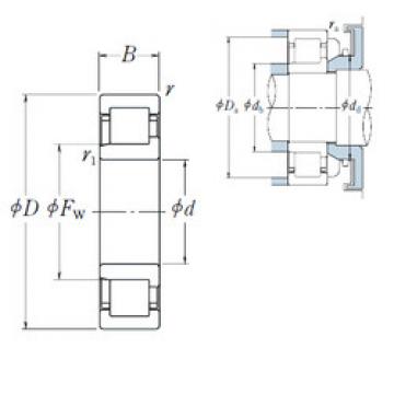 Bantalan NJ 407 NSK