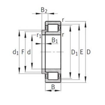 Bantalan NJ248-E-M1+HJ248-E FAG