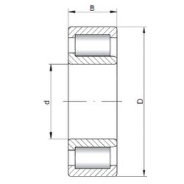 Bantalan NJF2314 V CX