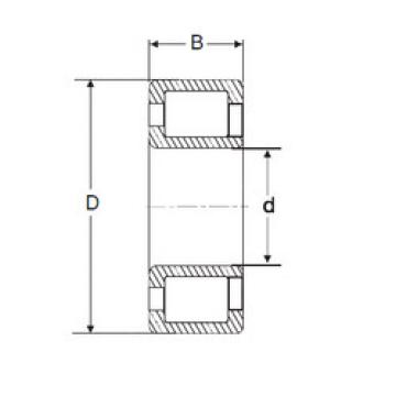 Bantalan NJG 2328 VH SIGMA