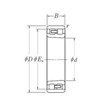 Bantalan NN 3009 K NSK