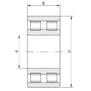 Bantalan NN3013 CX