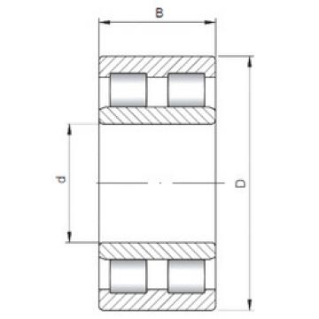 Bantalan NNU6017 ISO