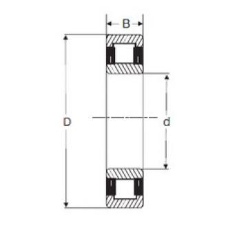 Bantalan NU 2217 SIGMA