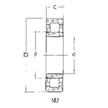 Bantalan NU1009 FBJ