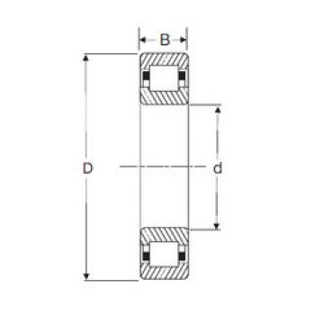 Bantalan NUP 216 SIGMA