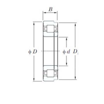 Bantalan NUP222 KOYO