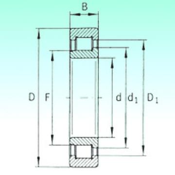 Bantalan SL192312 NBS