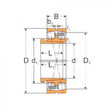 Bantalan 22318 ACKMBW33+AH2318X MPZ