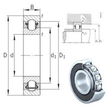 Bantalan BXRE206-2RSR INA