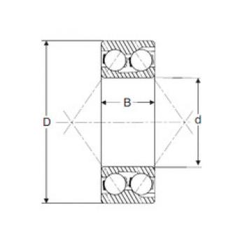 Bantalan 3204 SIGMA