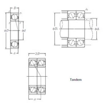 Bantalan 7006DT NTN