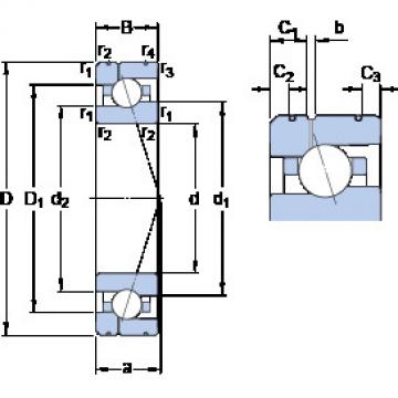 Bantalan 7020 ACE/P4AL1 SKF