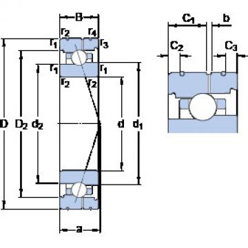 Bantalan 7019 ACB/P4AL SKF