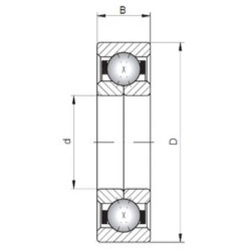 Bantalan QJ219 ISO