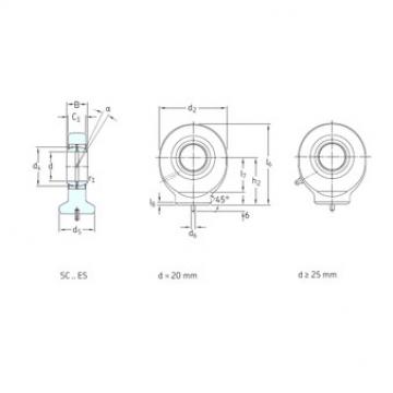 Bantalan SC30ES SKF