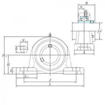 Bantalan UCP216-50 KOYO