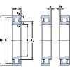 Bantalan N 1015 KTNHA/HC5SP SKF