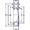 Bantalan 7017 CD/P4A SKF