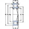 Bantalan 71924 CE/HCP4A SKF