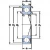 Bantalan S71905 CD/P4A SKF