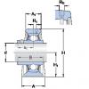 Bantalan SYJ 2.1/2 TF SKF