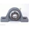 FHSPW207-21 Pillow Block Cast Iron Light Duty 1 5/16&#034; Ball Bearings Rolling #4 small image