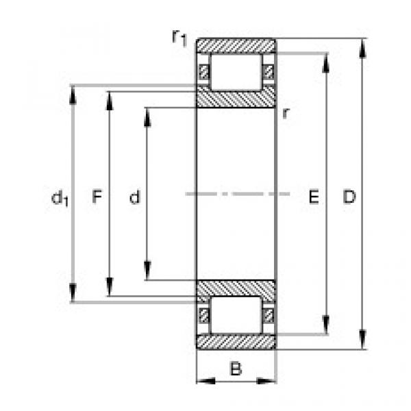 Bantalan N248-E-TB-M1 FAG #1 image