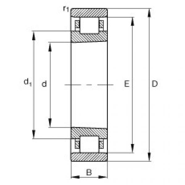 Bantalan N1015-K-M1-SP FAG #1 image