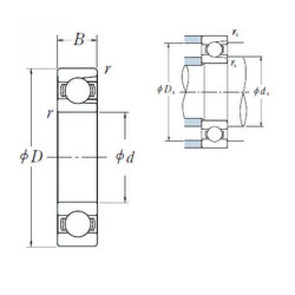 Bantalan BL 207 NSK #1 image