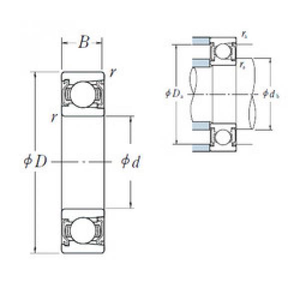 Bantalan BL 206 ZZ NSK #1 image