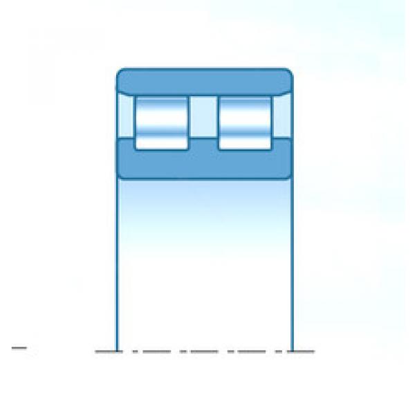 Bantalan RNN3025 NTN #1 image