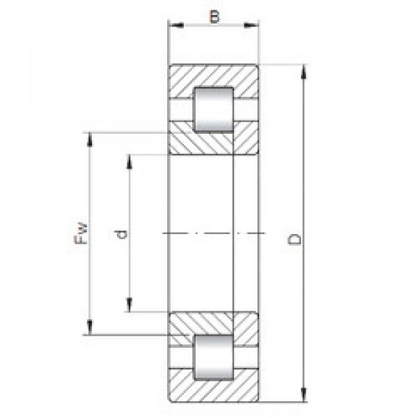 Bantalan NUP2926 CX #1 image